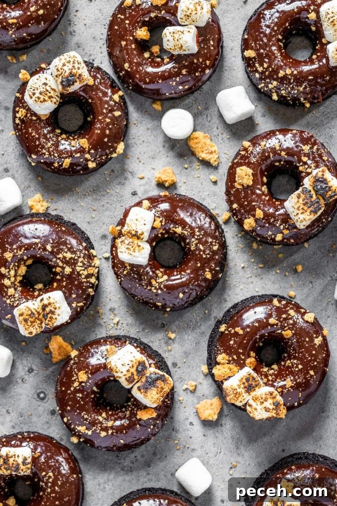 Baked S'mores Donuts