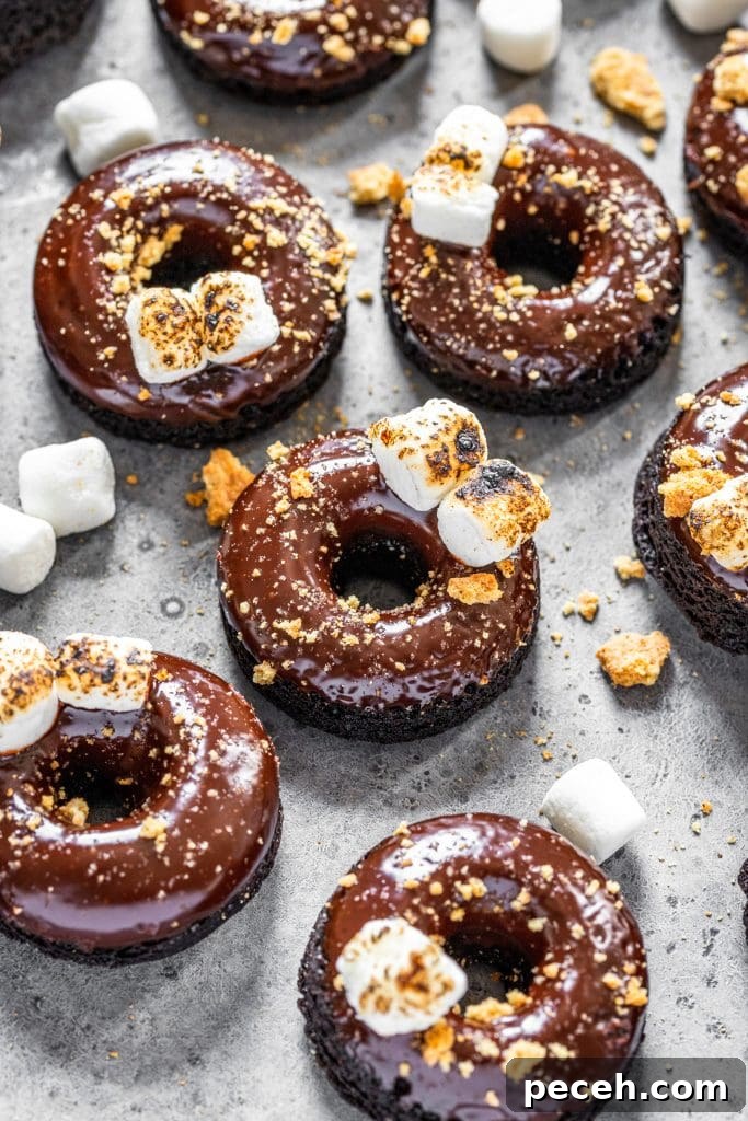 Baked S'mores Donuts
