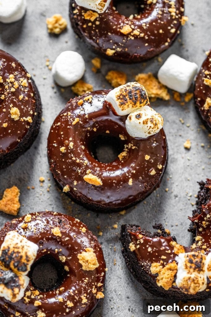 Baked S'mores Donuts