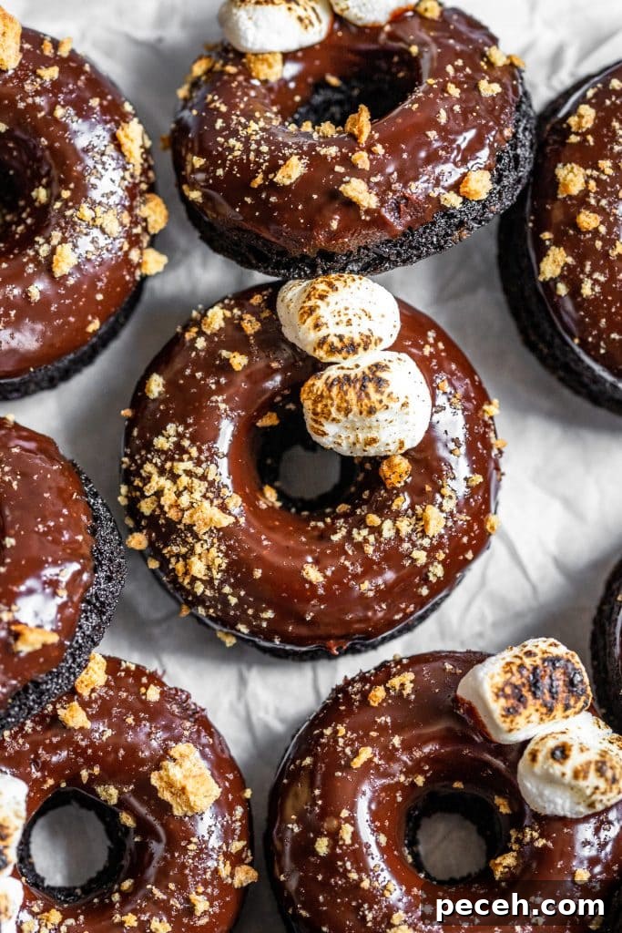 Baked S'mores Donuts