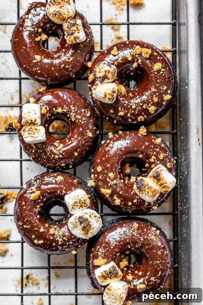 Baked S'mores Donuts