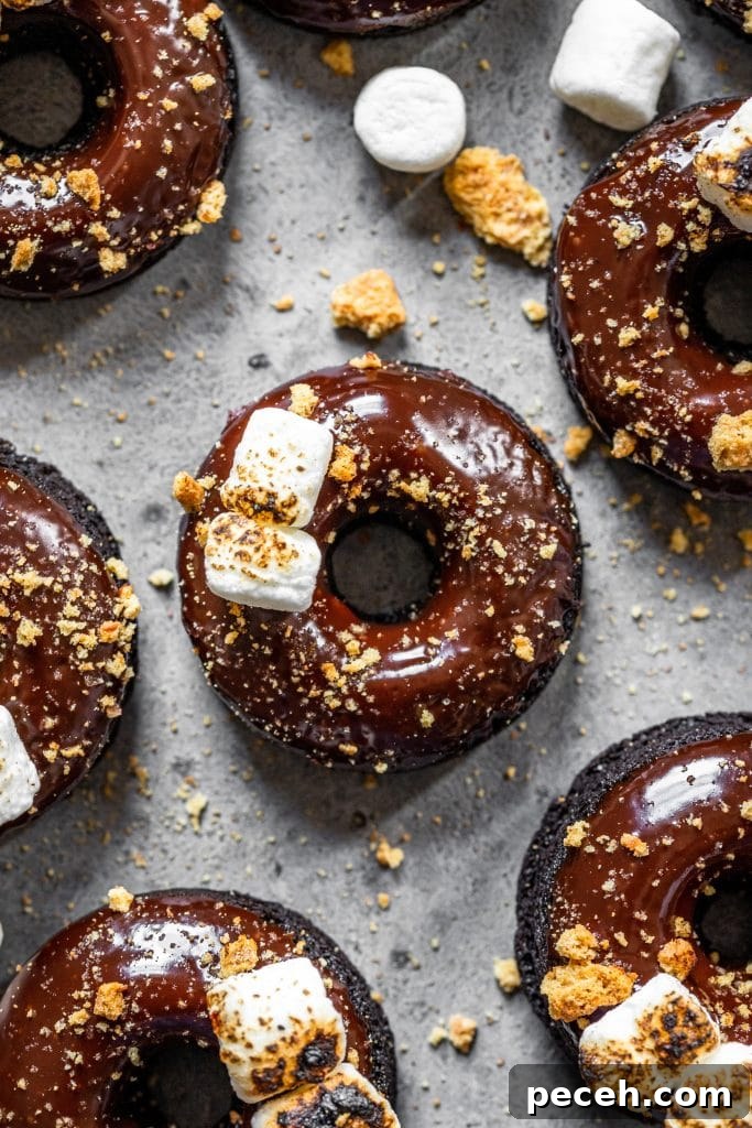 Baked S'mores Donuts