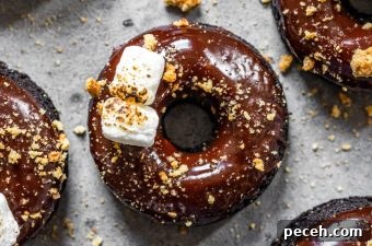 Baked S'mores Donuts