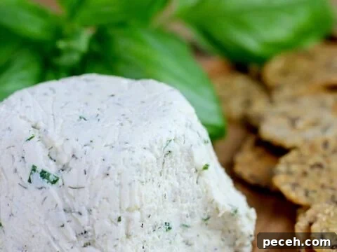 Boursin copycat cashew cheese