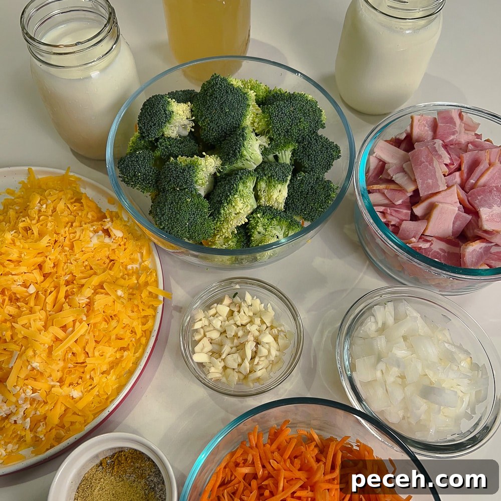 Creamy Broccoli and Cheddar Soup Recipe for Cozy Dinners 2 Broccoli Cheddar Soup
