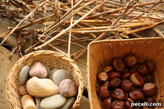 sticks, stones, shells, chesttnuts for snow play 