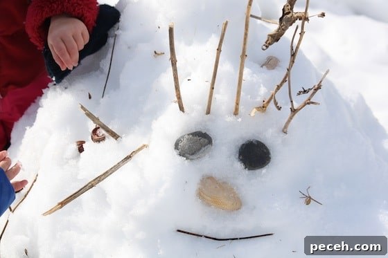 face in the snow with sticks, shells and stones
