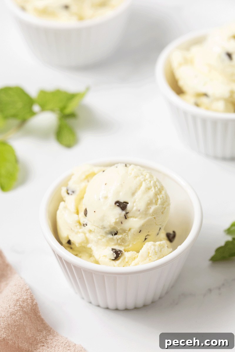 A cowl of homemade mint chocolate chip ice cream with mint leaves in the background