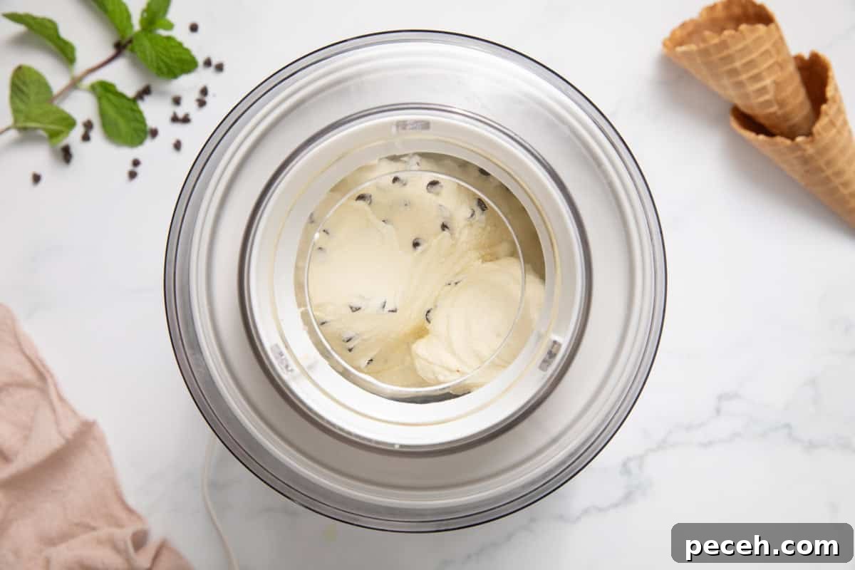 A mint chocolate chip ice cream mixture being churned in an ice cream machine.