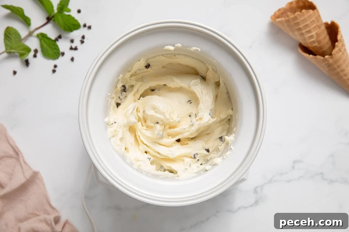 A mint chocolate chip ice cream mixture being churned in an ice cream machine.