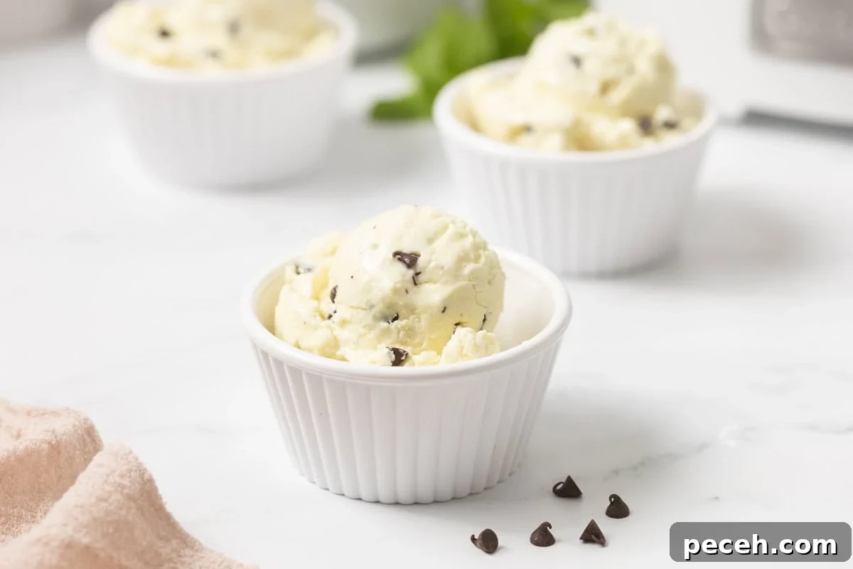 3 cups of mint chocolate chip ice cream on a counter with fresh mint leaves around it