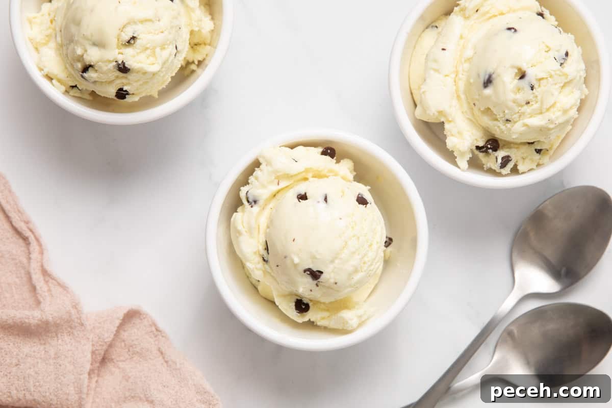 3 cups of mint chocolate chip ice cream on a counter with fresh mint leaves around it
