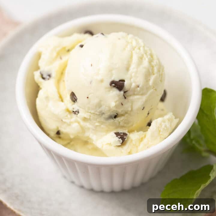 A cup of mint chocolate chip ice cream with fresh mint leaves next to it.