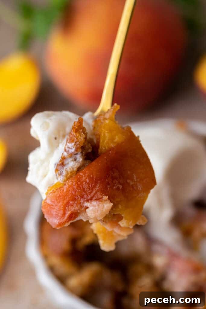 Classic Old-Fashioned Peach Cobbler Recipe You’ll Love 13 old fashioned peach cobbler recipe on a spoon