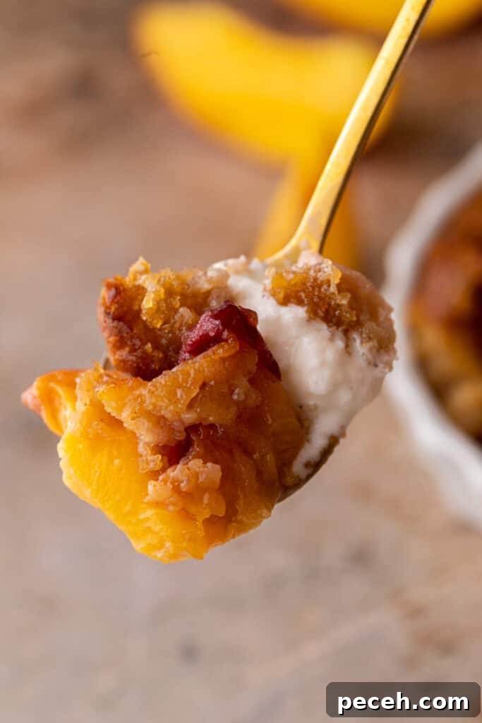Classic Old-Fashioned Peach Cobbler Recipe You’ll Love 4 old fashioned peach cobbler recipe on a spoon