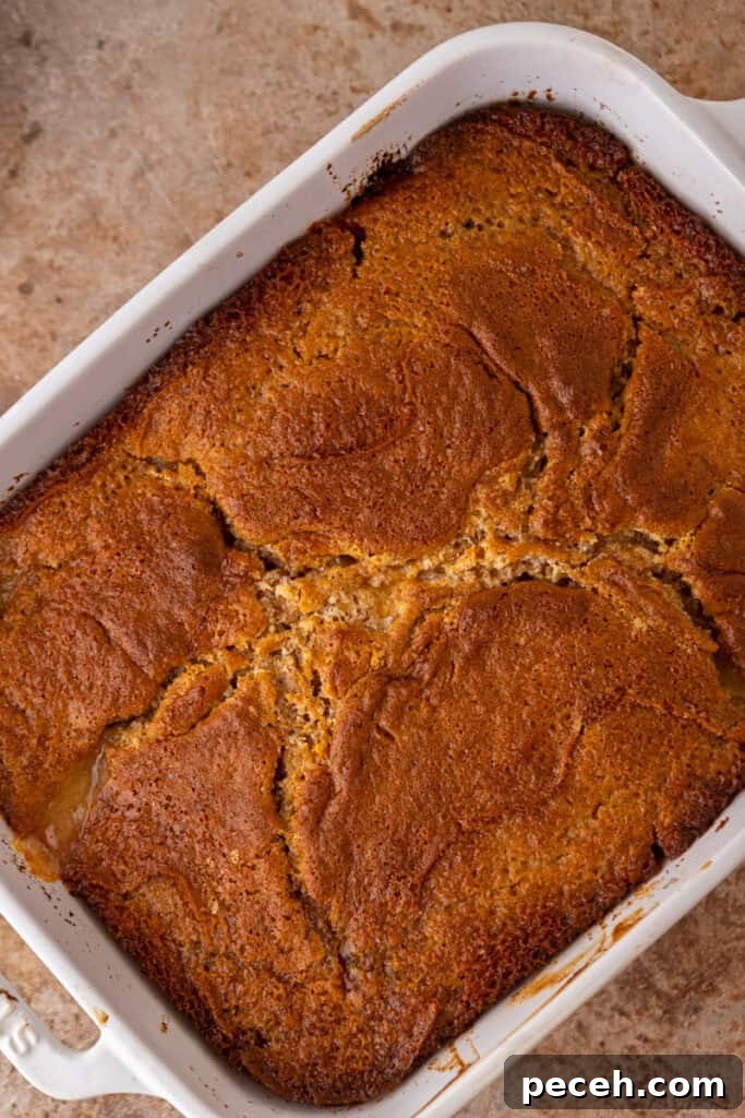 Classic Old-Fashioned Peach Cobbler Recipe You’ll Love 10 baked batter and fruit in a dish