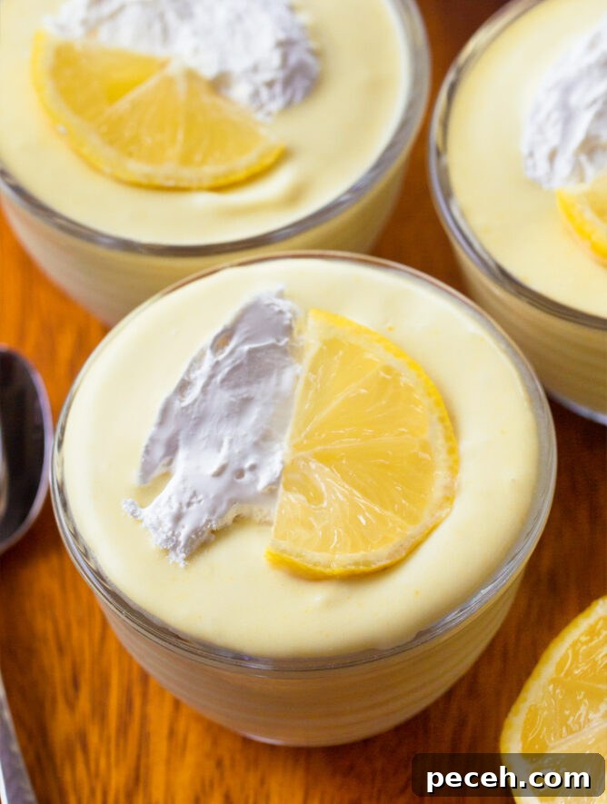 Refreshing Frozen Lemonade Recipe: Cool Homemade Lemon Slush 4 img 89334 11