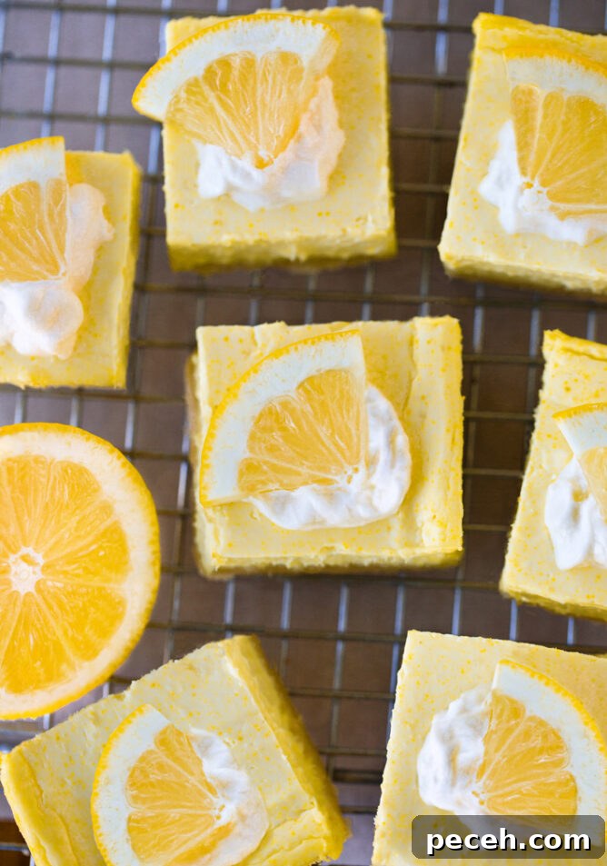 Refreshing Frozen Lemonade Recipe: Cool Homemade Lemon Slush 8 Keto Lemon Bars Recipe