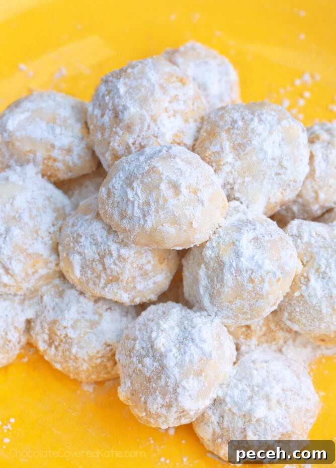Refreshing Frozen Lemonade Recipe: Cool Homemade Lemon Slush 9 6 Ingredient Lemon Snowball Cookies