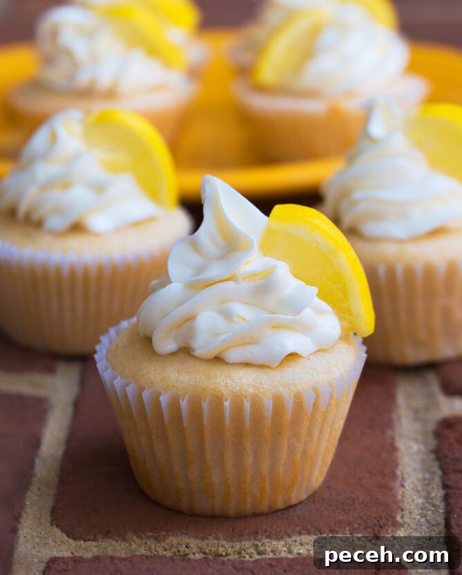 Refreshing Frozen Lemonade Recipe: Cool Homemade Lemon Slush 10 Vegan Lemon Cupcake Recipe