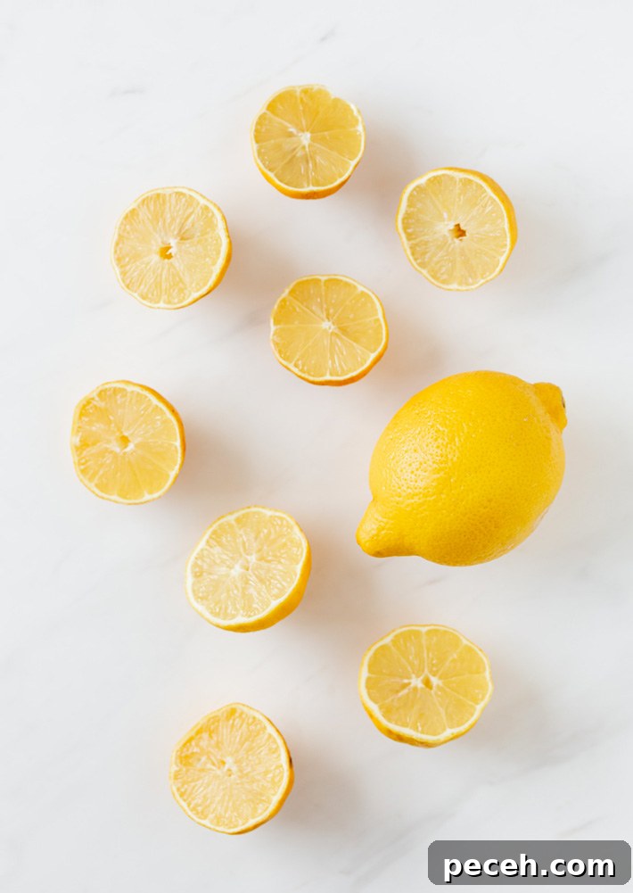 Fresh Sliced Lemons Fresh Sliced Lemons