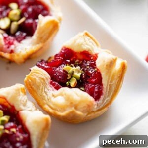 Quick Crowd-Pleasing Party Appetizers for Any Gathering 3 a baked cranberry and brie puff pastry sitting on a white plate