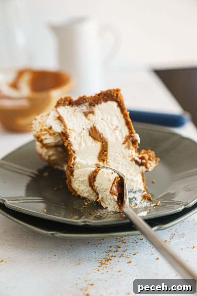 No-Bake Biscoff Cheesecake Recipe with Crunchy Cookie Crust 3 img 9545 2