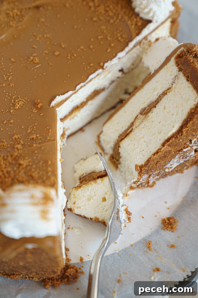 No-Bake Biscoff Cheesecake Recipe with Crunchy Cookie Crust 4 img 9545 3