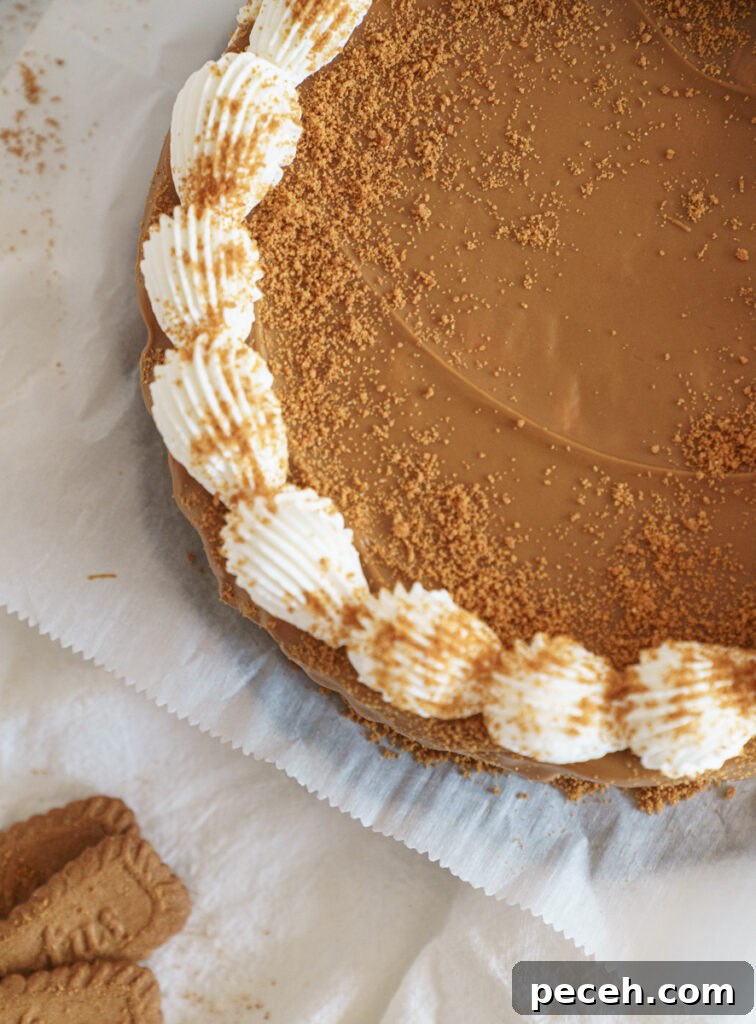 No-Bake Biscoff Cheesecake Recipe with Crunchy Cookie Crust 5 img 9545 4