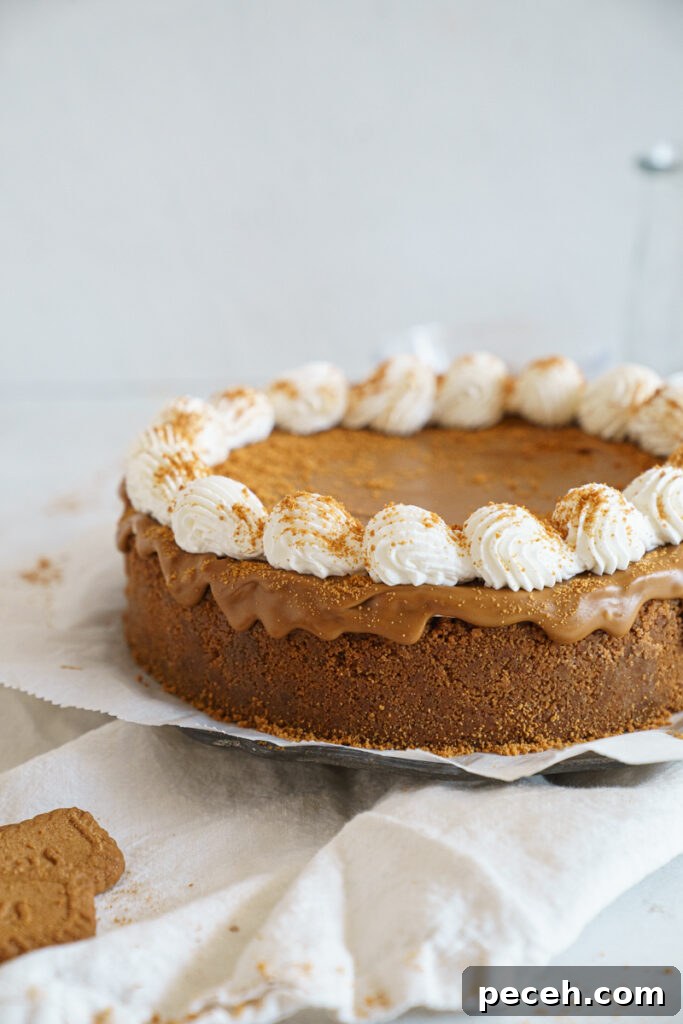 No-Bake Biscoff Cheesecake Recipe with Crunchy Cookie Crust 6 img 9545 5