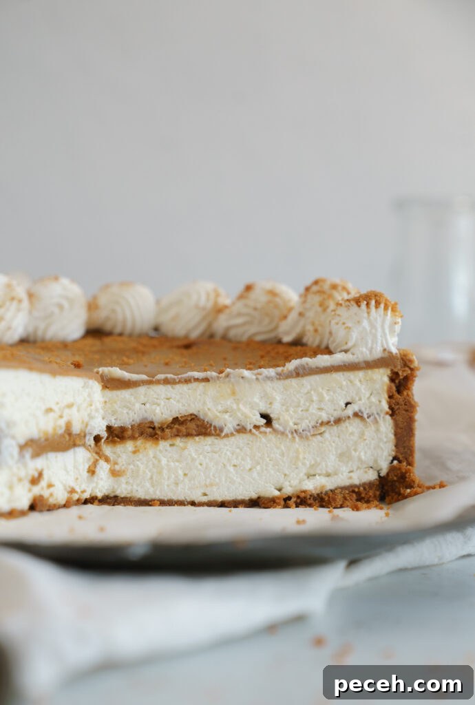 No-Bake Biscoff Cheesecake Recipe with Crunchy Cookie Crust 7 img 9545 6