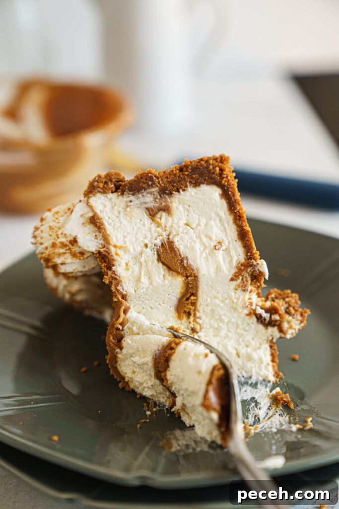 No-Bake Biscoff Cheesecake Recipe with Crunchy Cookie Crust 8 img 9545 7