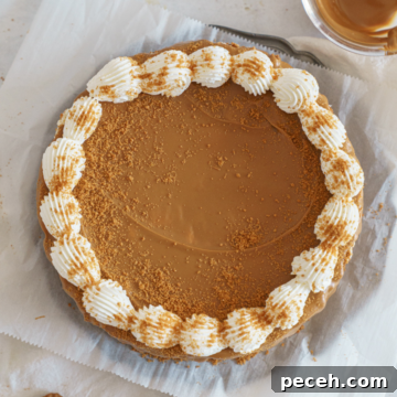 No-Bake Biscoff Cheesecake Recipe with Crunchy Cookie Crust 9 no bake biscoff cheesecake