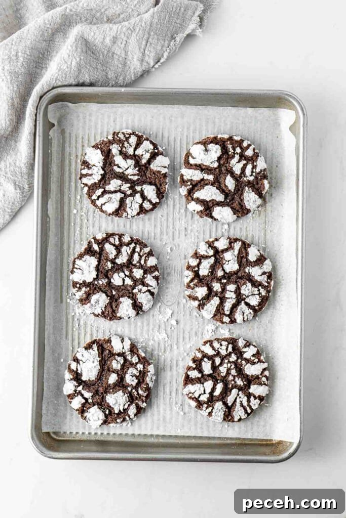 Fudgy Chocolate Crinkle Cookies Recipe 9 Freshly baked cookies on a baking tray.
