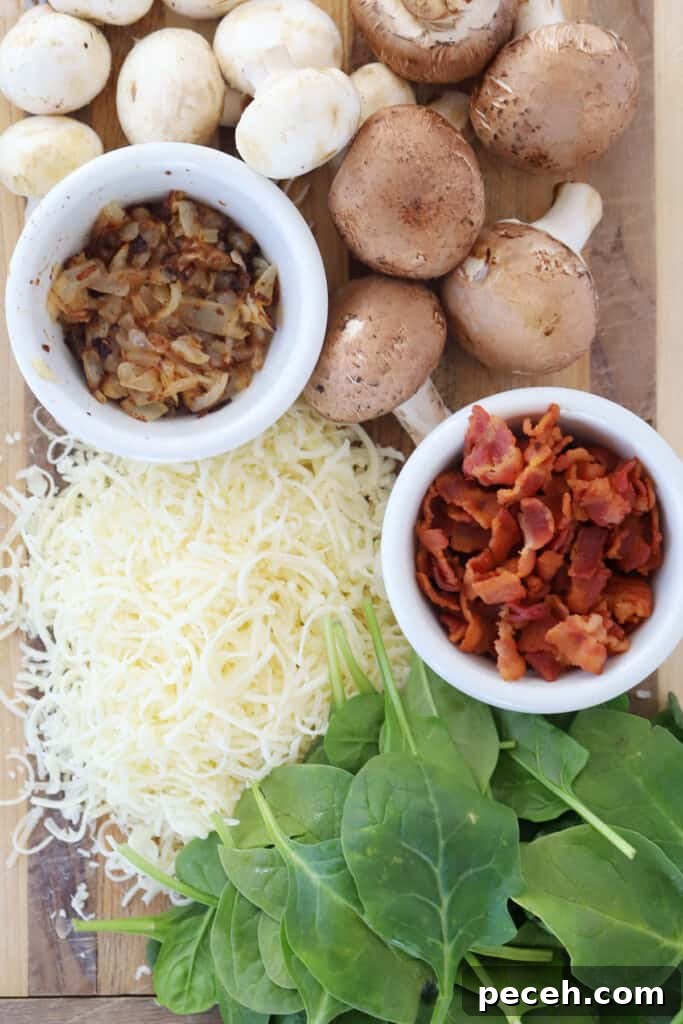 Savory Bacon and Mushroom Quiche Recipe 3 ingredients for mushroom and bacon quiche; best quiche recipes, quiche bacon mushroom.