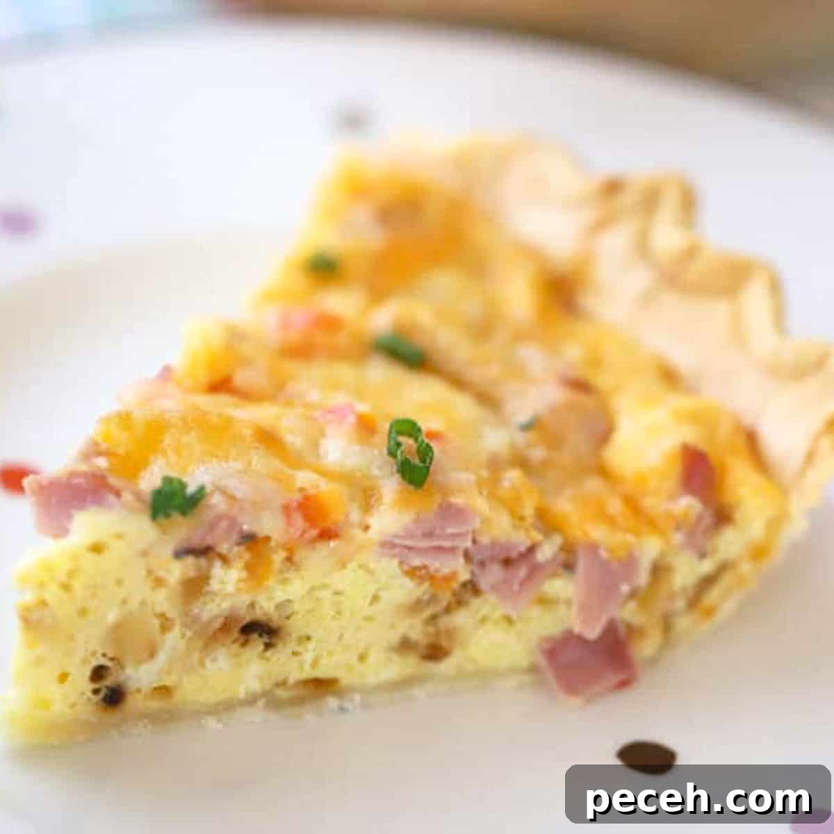 Savory Bacon and Mushroom Quiche Recipe 8 ham and cheese quiche recipe
