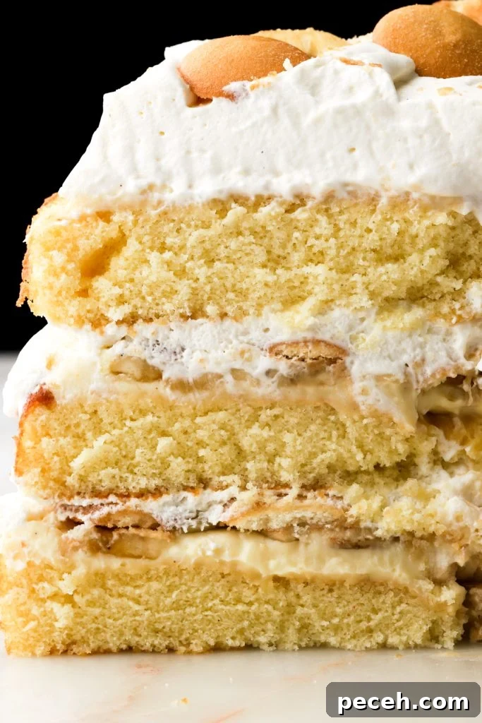 Light and Fluffy Banana Pudding Cake Recipe 2 close up layers of banana pudding cake sliced