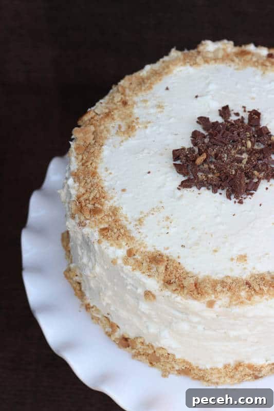 Toasted Marshmallow Chocolate Cake 2 Chocolate Toasted Marshmallow Cake