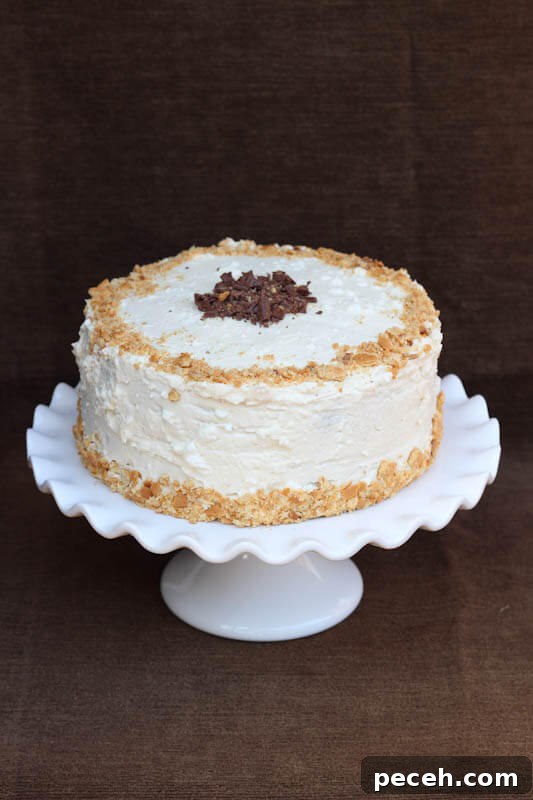 Toasted Marshmallow Chocolate Cake 3 Slice of Toasted Chocolate Marshmallow Cake
