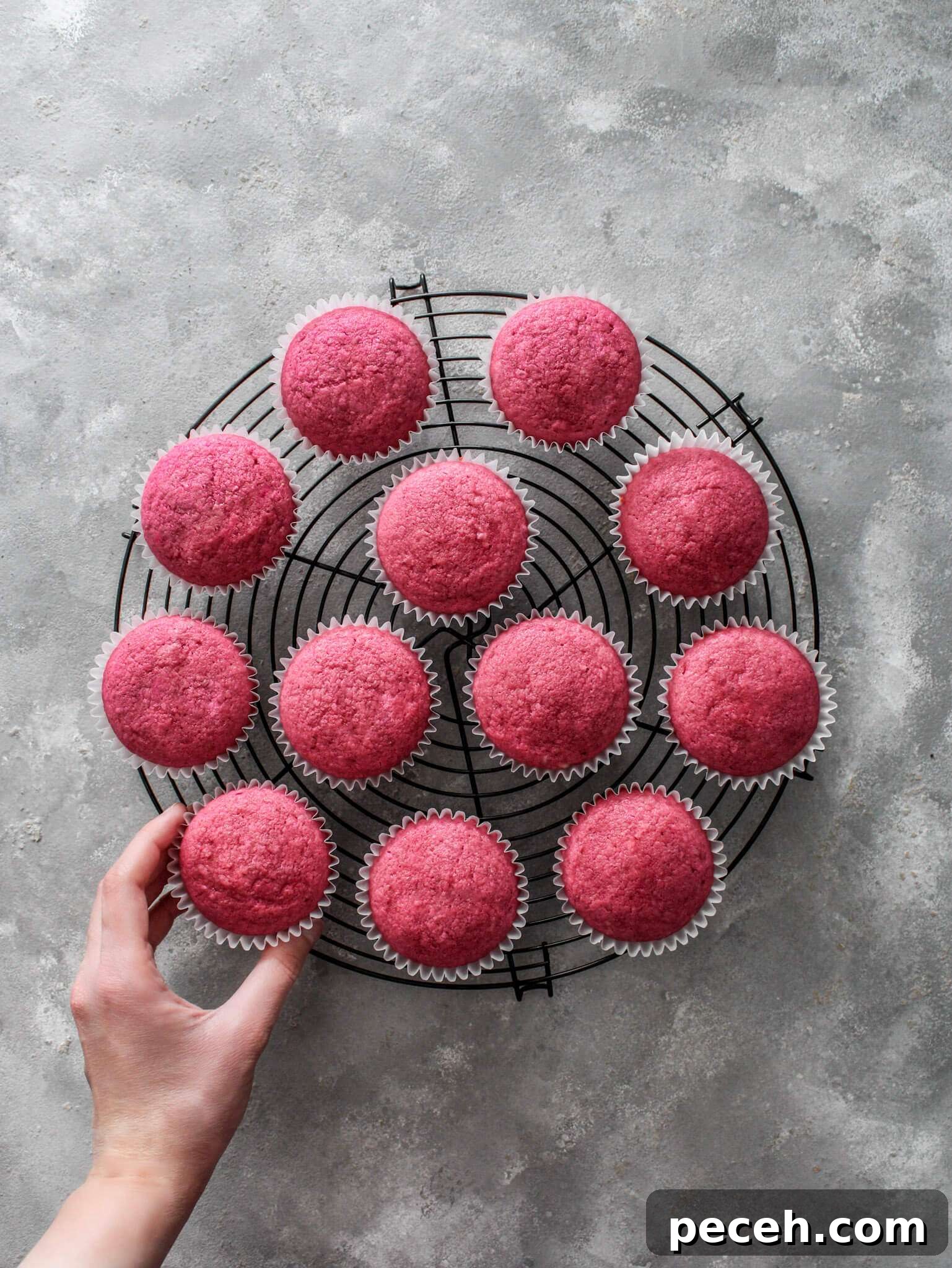 Fluffy Strawberry Cupcakes with Fresh Strawberry Frosting 9 strawberry cupcakes on wire rack