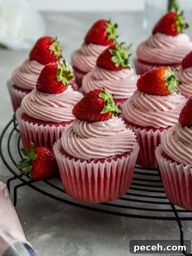 Fluffy Strawberry Cupcakes with Fresh Strawberry Frosting 10 frosted strawberry cupcakes on wire rack (2)