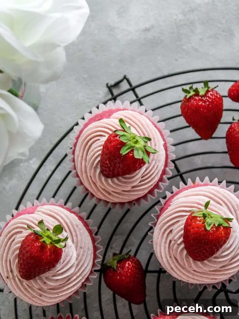 Fluffy Strawberry Cupcakes with Fresh Strawberry Frosting 6 frosted strawberry cupcakes on wire rack (2)