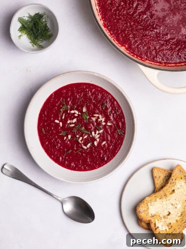 beetroot soup served with toast and fresh dill.