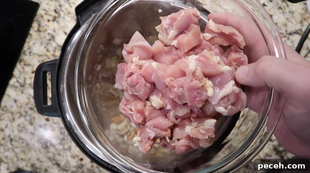 Creamy Garlic Chicken Pasta in the Instant Pot 16 adding chicken to pot