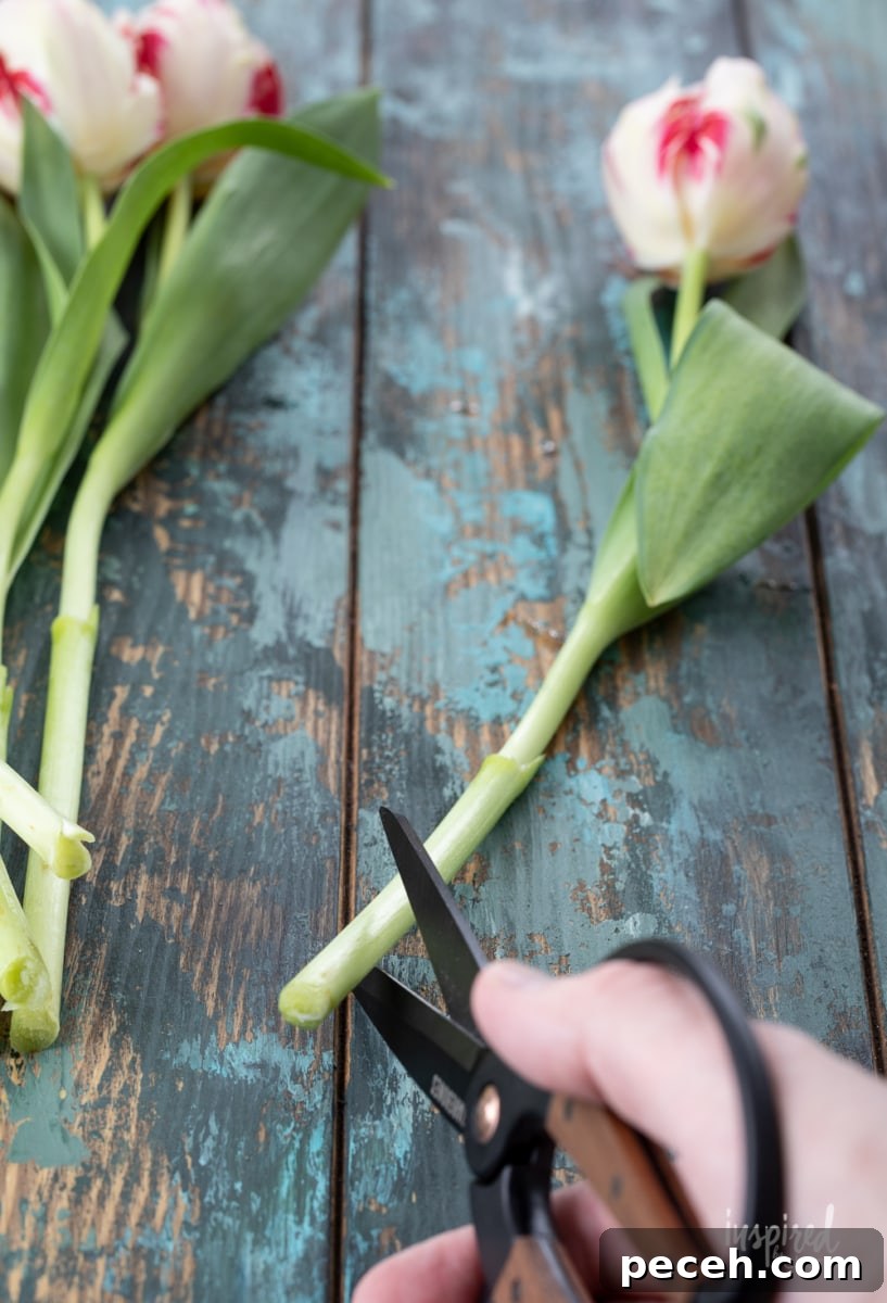 Tulip Arrangement Guide: Creative Tips for Stunning Bouquets 7 tulips in a pitcher