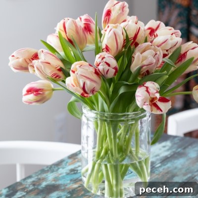 vase of tulips