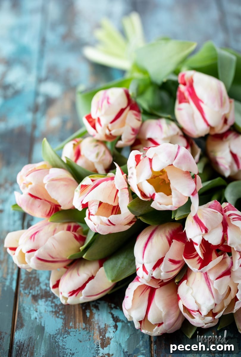 Tulip Arrangement Guide: Creative Tips for Stunning Bouquets 4 tulips on a table