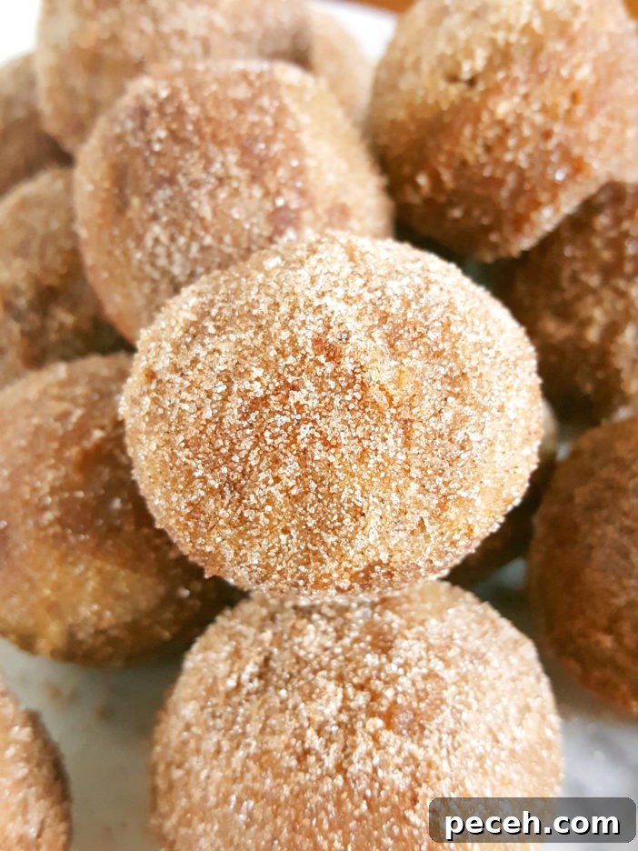Mini Cinnamon Sugar Donut Muffins with Sour Cream 2 Mini Old-Fashioned Cinnamon Sugar Sour Cream Donut Muffins - Easy recipe for baked cinnamon sugar doughnuts in a mini muffin pan.
