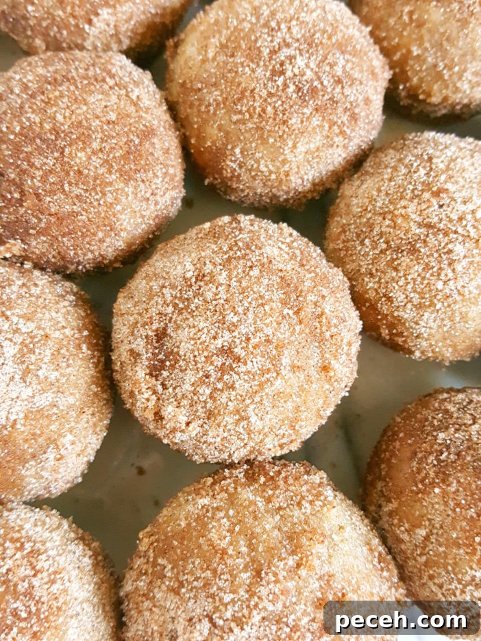 Mini Cinnamon Sugar Donut Muffins with Sour Cream 3 Mini Old-Fashioned Cinnamon Sugar Sour Cream Donut Muffins - Easy recipe for baked cinnamon sugar doughnuts in a mini muffin pan.