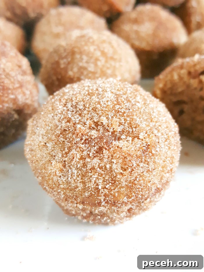 Mini Cinnamon Sugar Donut Muffins with Sour Cream 4 Mini Old-Fashioned Cinnamon Sugar Sour Cream Donut Muffins - Easy recipe for baked cinnamon sugar doughnuts in a mini muffin pan.